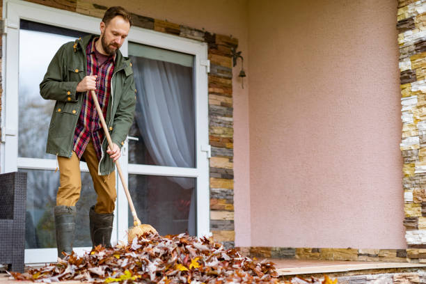 Best Trash Removal Near Me  in Orono, MN